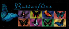 Liberia 2001 - Fauna and Flora, Butterflies - Sheet of 8 Stamps - MNH