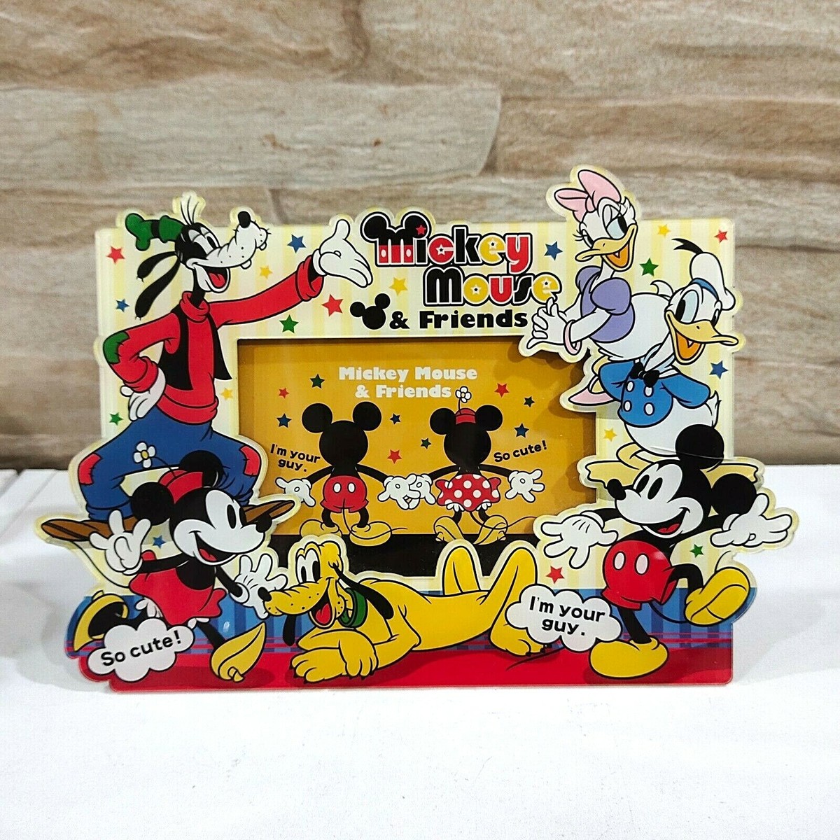 Disney Mickey Minnie Mouse Goofy Donald Duck Pluto Friends Photo