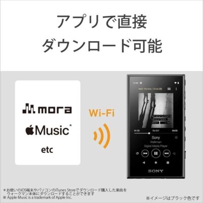 Sony Walkman 64GB Aseries NW-A107 Black : High resolution