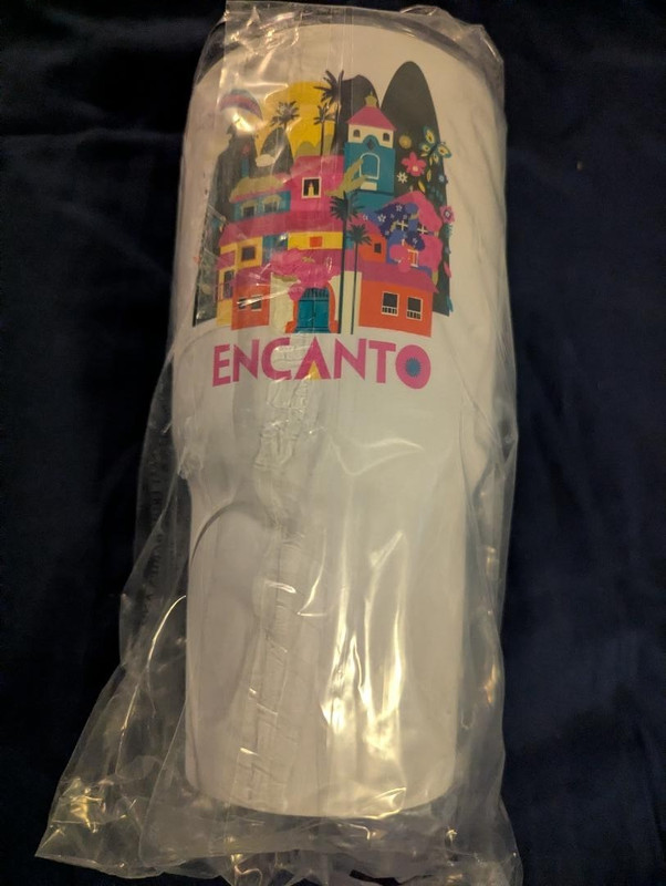 Disney Encanto Tumbler Water Bottle NEW