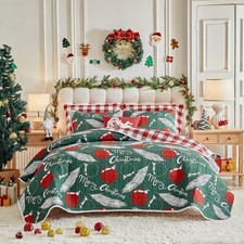 Uozzi Bedding Quilt Set Queen - Feathers Red Balloon N Red Plaid