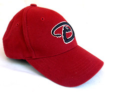 Arizona Diamondbacks Embroidered YOUTH Baseball Cap