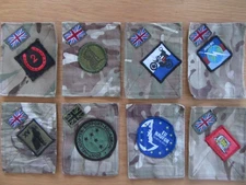 UK Forces badged up MTP TRF 'Blanking panels'. Signals, BATUS, NAVFOR, etc.