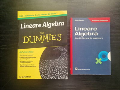 Lineare Algebra   2 Fachbücher im Paket | Ingenieurmathematik + Für Dummies
