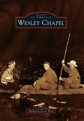 NEW Arcadia Publishing Wesley Chapel, FL 9781467116152 Images of America Trade P