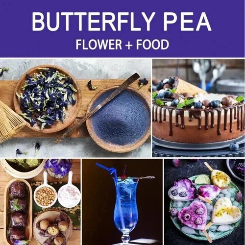 GPGP GreenPeople Buterfly Pea Flower Tea 50G Free Shipping World Wide - Picture 6 of 8
