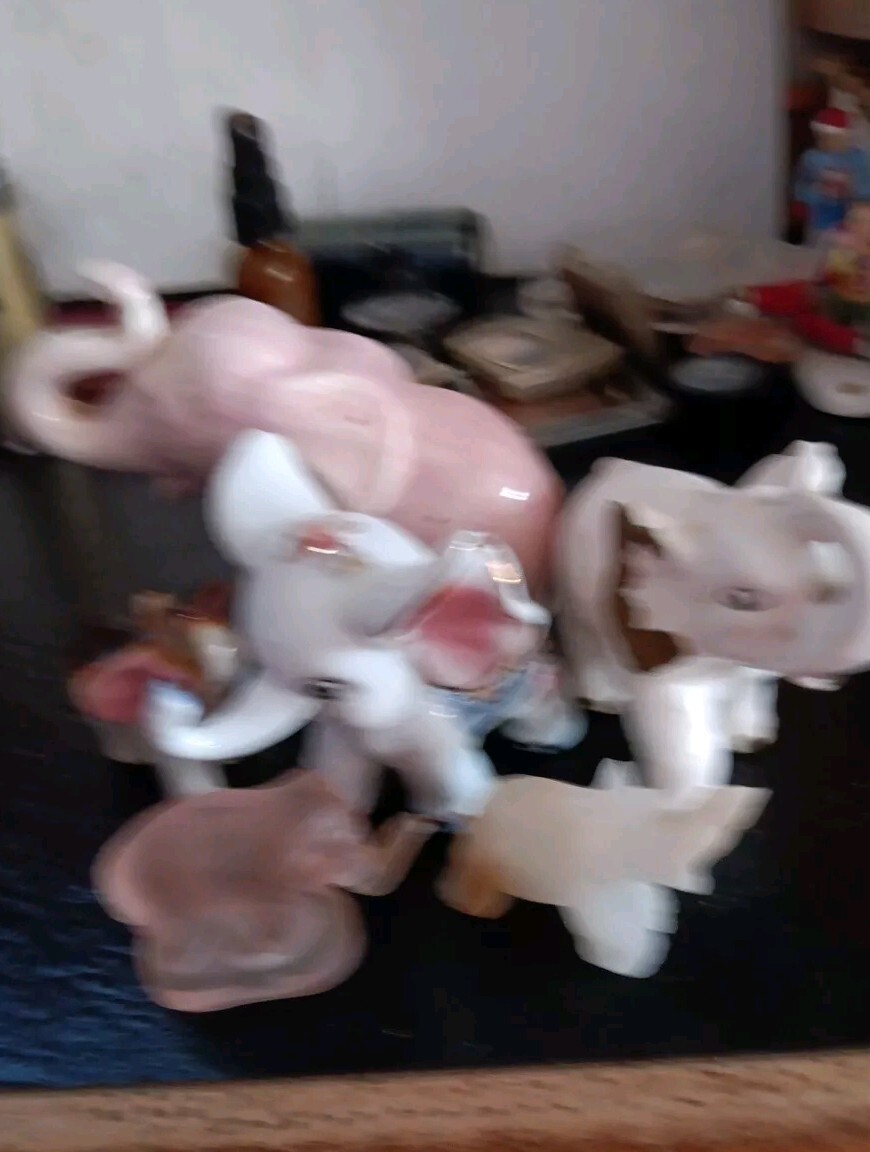 Picture 5 of 7