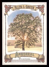 2021 Topps Allen & Ginter Sycamore #AA-2  Arboreal Apperication