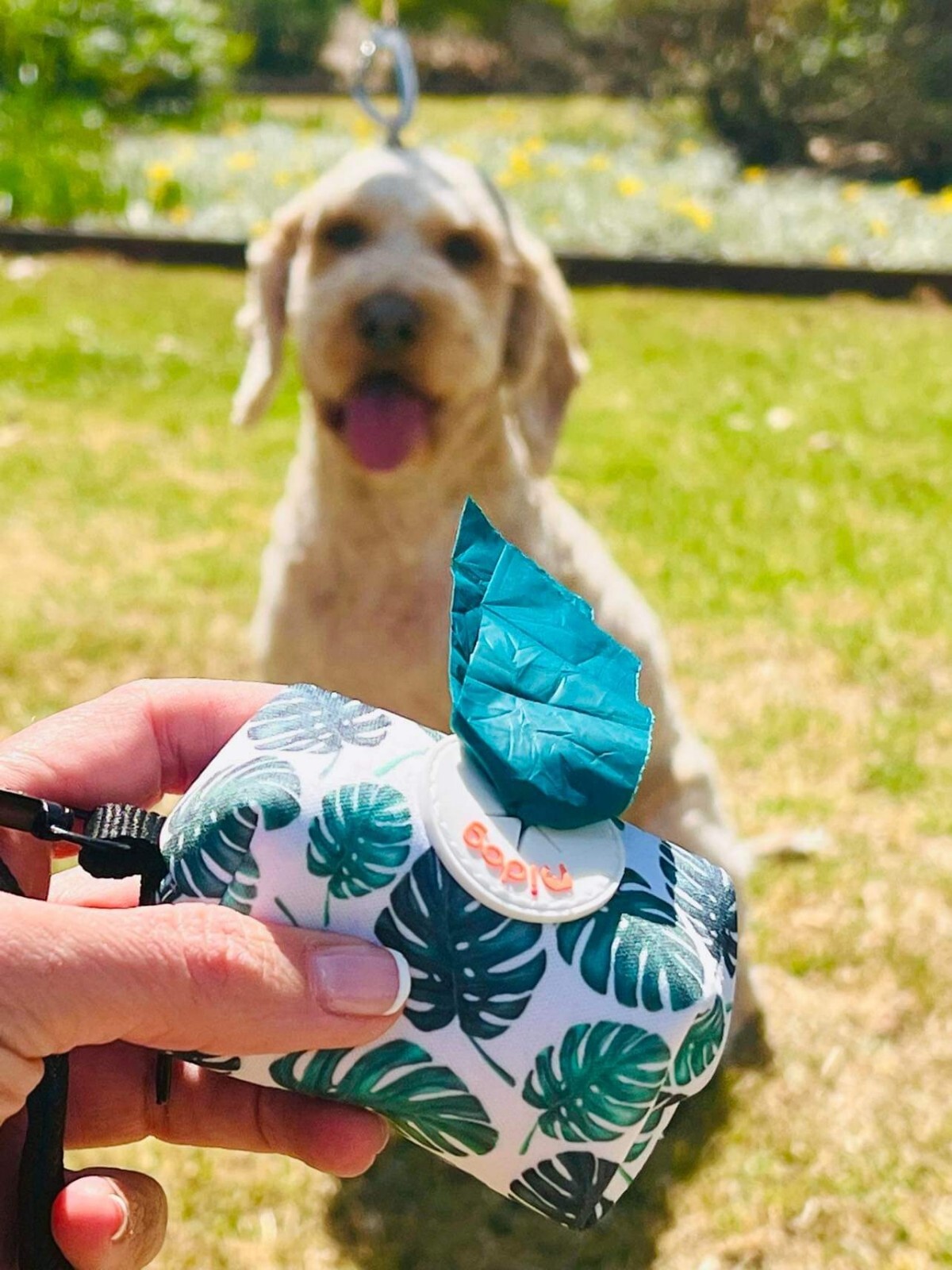 100 Home Compostable, Plant Based, Biodegradable Dog Poop Bags (Qty