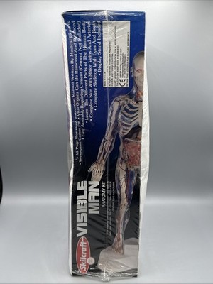 Vintage Skilcraft Visible Man Anatomy Model Kit (40155) Sealed Box