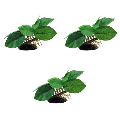 3 x Decor Seidenpflanze Anubias Berter S, Aquariumpflanze, Dekoration, Pflanze 