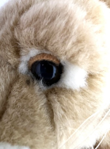 SOS Save Our Space Lion Cub Plush Stuffed Animal Vintage 2003 Plastic Eyes Nose - Picture 11 of 13
