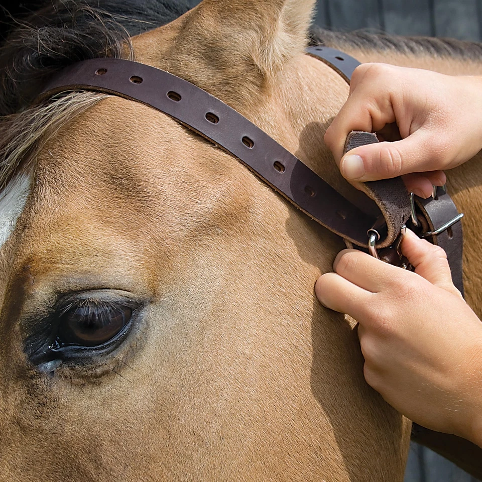 Dispositivo anticunas con cuello milagroso para caballos ajuste mediano de cuero habanero Foto 3 de 4
