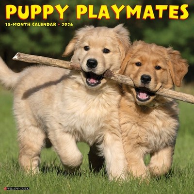 Puppy Playmates 2026 12'' x 12'' Wall Calendar (free shipping)