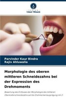 Morphologie Des Oberen Mittleren Schneidezahns Bei Der Expression Des Drehmoment