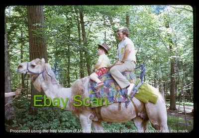 1974 Original Slide - Warner Bros Jungle Habitat West Milford NJ - Camel Ride
