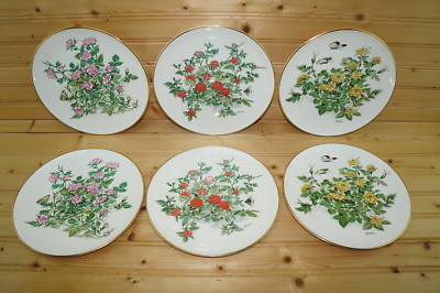 Edward Marshall Boehm Miniature Rose (6) Plates-Rise N Shine-Cuddles-Toy  Clown 8 | eBay
