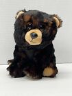Ty Beanie Babies Kodi the Alaskan Kodiak Black Brown Bear 6" Plush