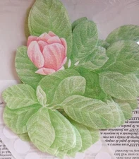 New WALLIES: Magnolia Clusters Wall Stickers 12094