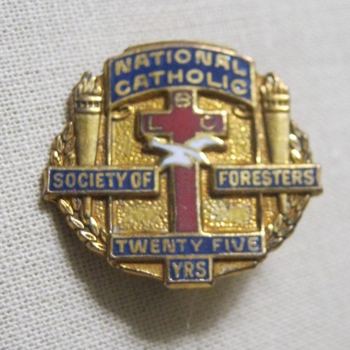 Old National CATHOLIC ORDER of the FORESTERS 25 Year ENAMEL PIN - Picture 4 of 4