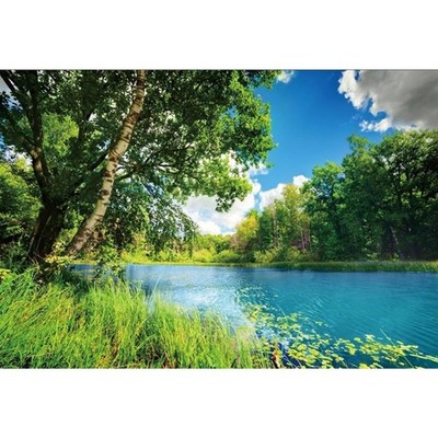 5x3ft Park Scenery Backdrop River Blue Water and Tree Forest Garden Blue Sky ...