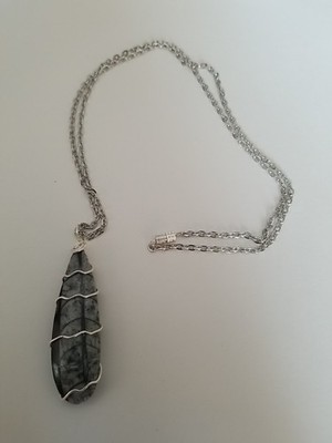 Orthoceras Fossil Jewelry Wire Wrapped Pendant 2'' 22 '' Chain