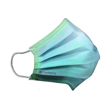 Pack of 50 Galactic Green Quad Fold Safety Masks Disposable Custom Fit