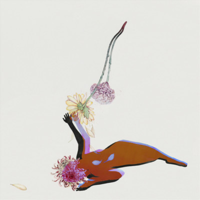 Future Islands The Far Field (CD) Album