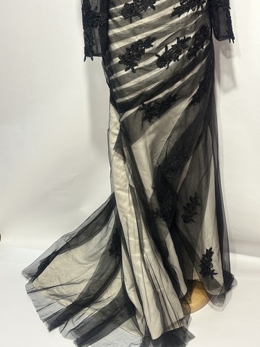 Dylan Queen Sheath/Column Lace Applique, black &beige Lace Elastic Woven Satin M - Picture 5 of 24