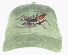 Vinegaroon Embroidered Cotton Cap NEW Whip Scorpion