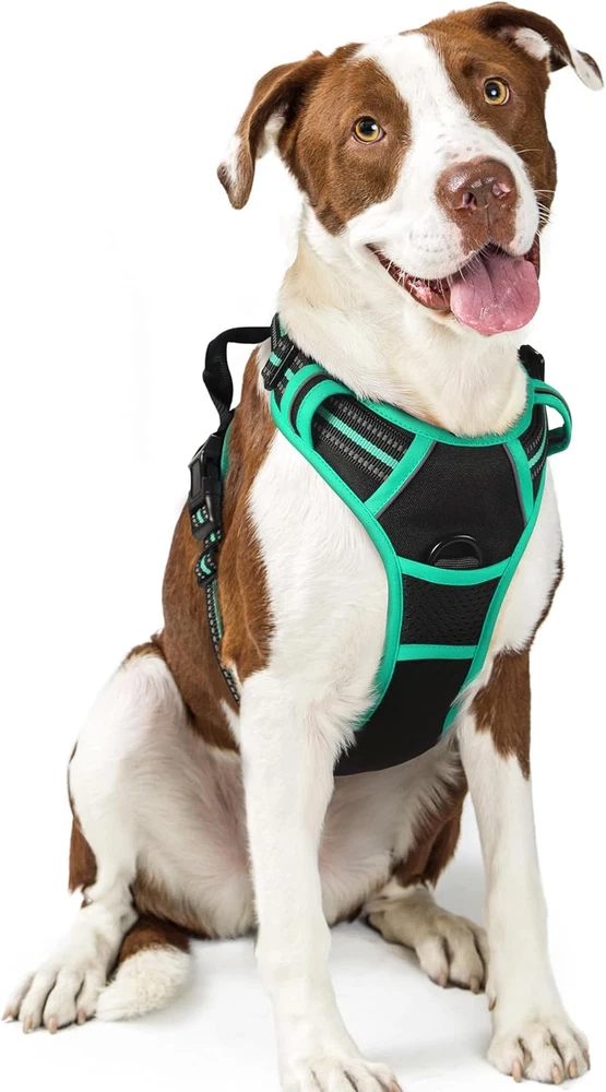 Dog Harness No Pull with 2 Leash Clips, Adjustable Soft Padded, Reflective Oxfor