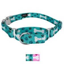 Country Brook Petz Martingale with Premium Buckle - Dog's Life Collection