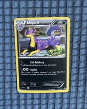 Liepard 91/149 Boundaries Crossed Holo NM on eBay