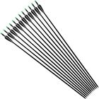12Pcs 33" Fiberglass Arrows Replaceable Point Explosion-proof Nock Compound bow