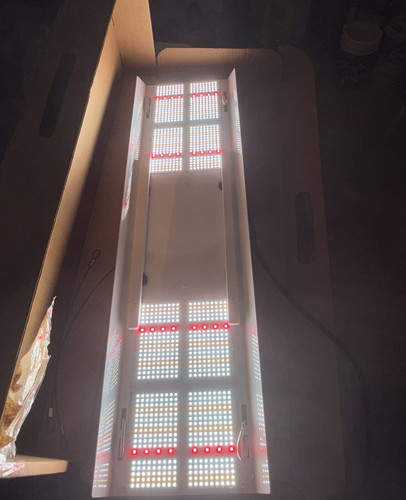 HLG 350 LED Grow Light Diablo 330 W