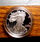 AMERICAN SILVER EAGLE 2006 PROOF 1 TROY OZ NO BOX OR COA