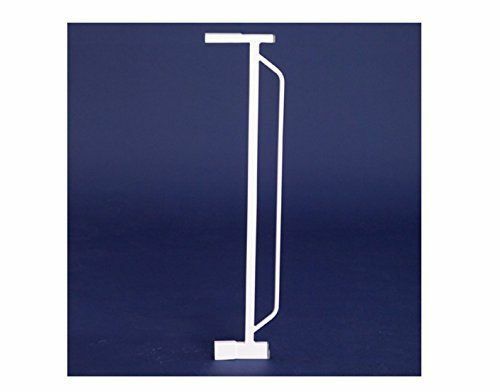 carlson 4 inch extension