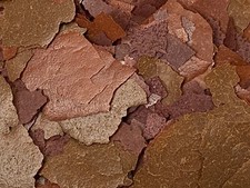 ABF Ultra Surf Turf, Cichlids,Oscar,Angelfish,Carnivore,Oscars,Krill,ABF395