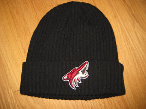 Arizona Coyotes Knit Hat
