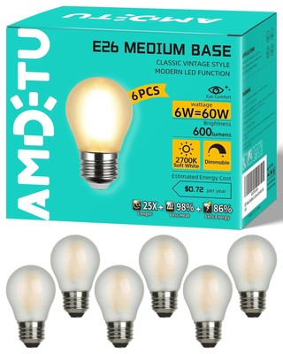 Vintage Edison LED Short Bulb 60W E26 Standard Base Dimmable G45 Small Globe ...