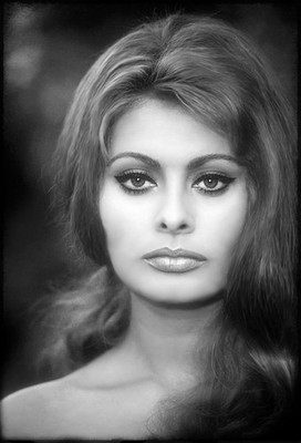Beautiful Actress Sophia Loren Vintage Publicity Poster Photo 16x24