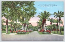Linen~Anseman Avenue @ Main Entrance City Park New Orleans LA~Vintage Postcard