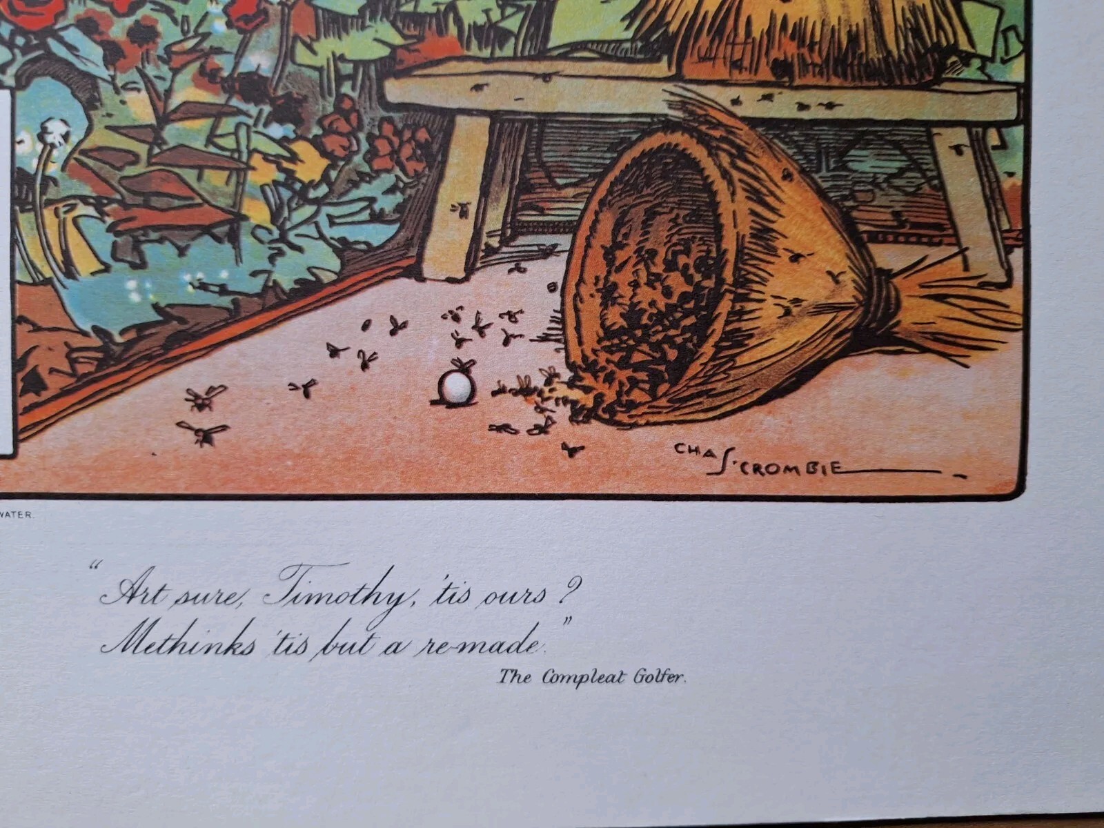 Picture 4