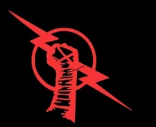 Cm Punk Custom Pro Wrestling Vinyl Decal Sticker , 4.5 X 4 INCHES!