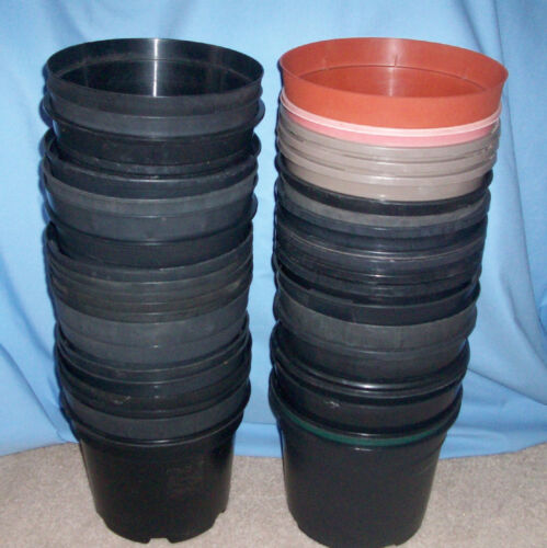JOB BULK LOT OF 40 BLACK PLASTIC PLANT POTS 3 LITRE SIZE IN GOOD USED CONDITION - Picture 1 of 1