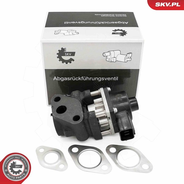 Esen SKV Agr-Ventil U.A. FüR Fiat, Suzuki-image