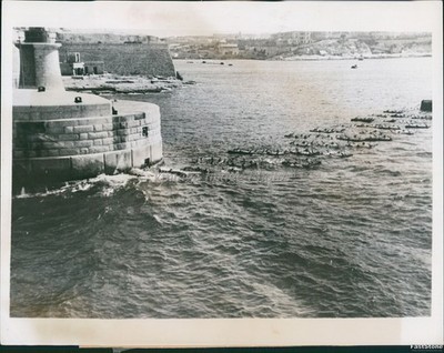 1935 Malta Harbor Reports Italian Vessels Seascape Beautiful View Photo 7x9