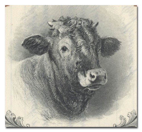 oscar mayer & co., inc. stock certificate