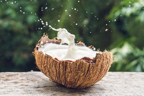 Wohltuer Bio Kokosblütenzucker natürliches Süßungsmittel 1000g Beutel - Bild 2 von 4