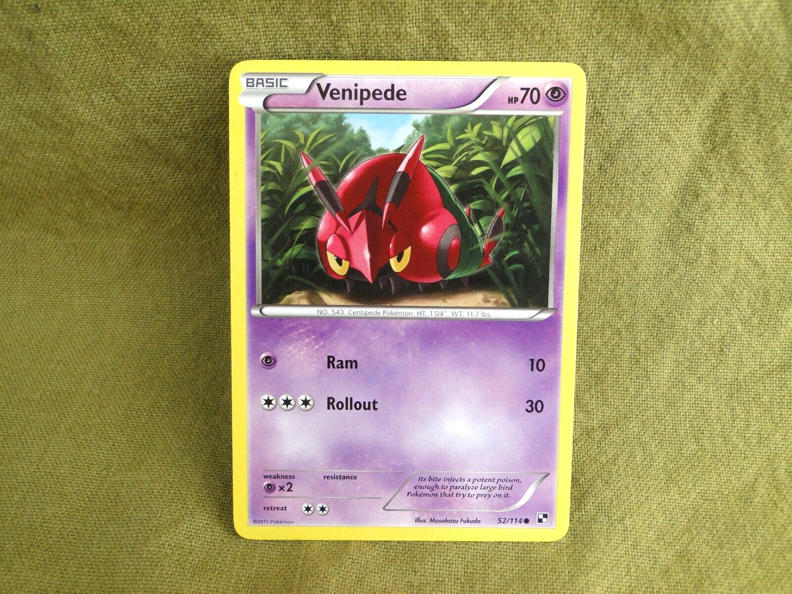 Pokemon Trading Card - Black & White: Venipede 52/114